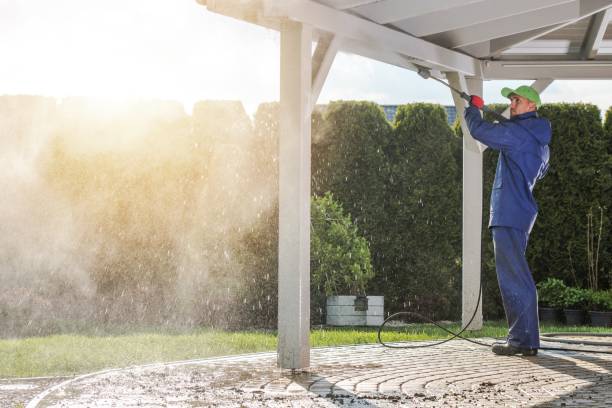 Best Dumpster Area Cleaning  in Union Springs, NY